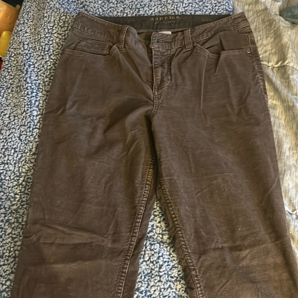 Brown Sonoma Bootcut Jeans Size 8